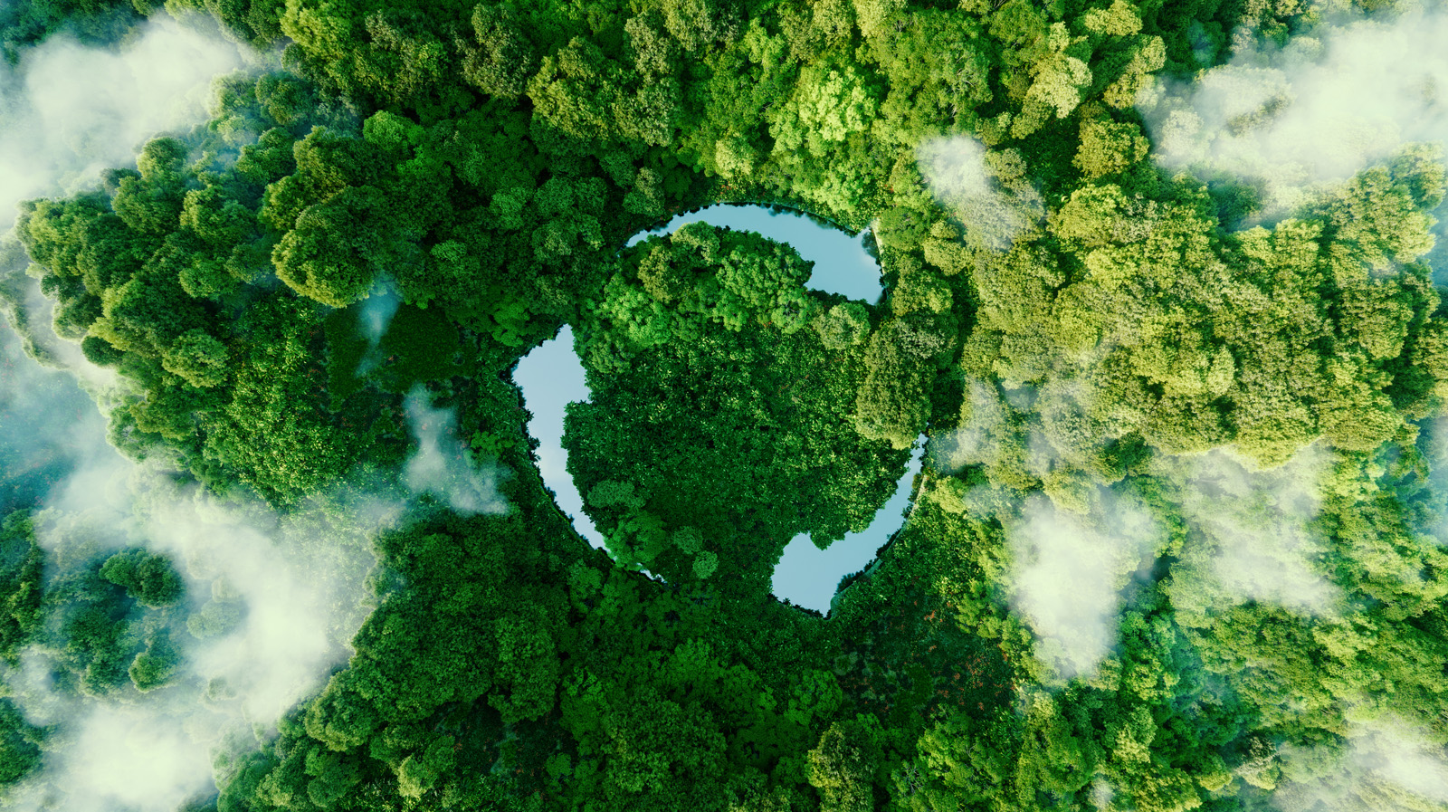 Sustainability